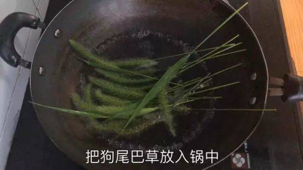 农村常见的狗尾巴草，原来还有这么多妙用