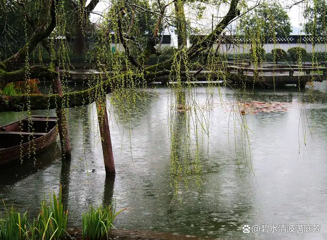 春意撩人，花开从未迟到，岁月在我们眼前