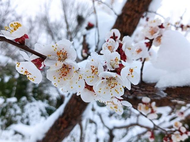 一场春天里，你采花蜜，我酿美酒，共一案春色，落盏饮春