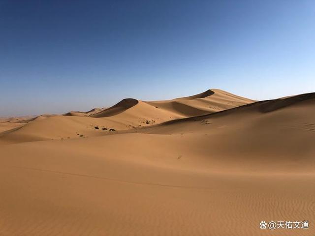 只有走出心灵的沙漠，才能迎来心灵的绿洲