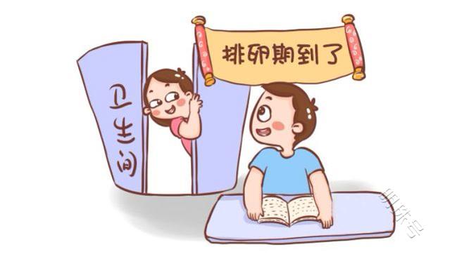 昆明送子鸟：排卵时，身体到底有哪些变化呢？