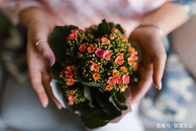 男人娶一个会过日子的女人，才是一辈子最好的选择