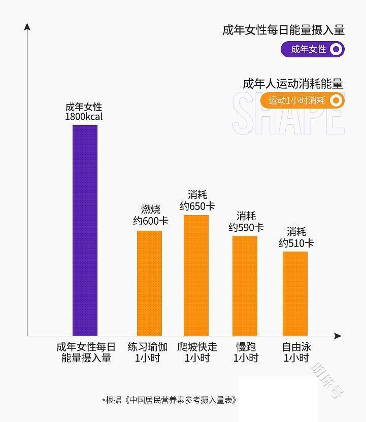 减少瘦身失败带来的困扰，这些方法要灵活运用，左旋肉碱是什么？