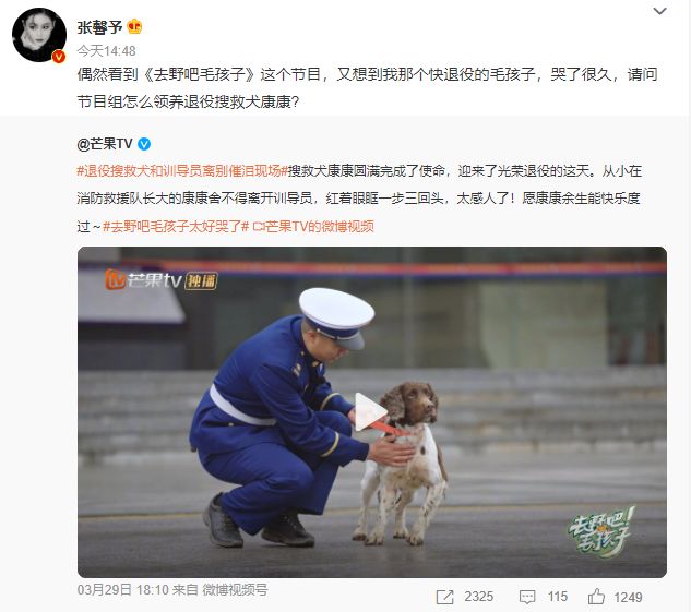 看节目被感动 张馨予发文问如何领养退役搜救犬