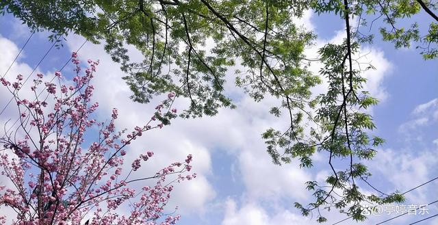 感动与美好，珍惜缘分给予的这份感动与美好