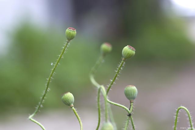 中年以后，我们要掌握好自己的真情，不要逢人就掏心