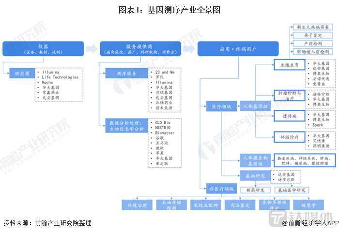 人类基因组计划破译了什么？