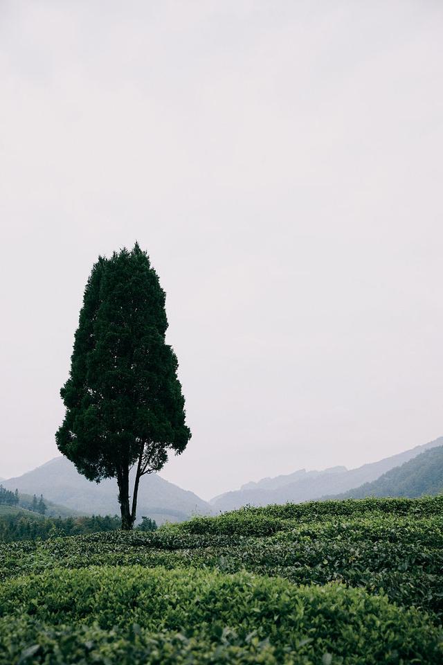 人生不是一场物质的华丽展示，而是一场属于灵魂的自我修行