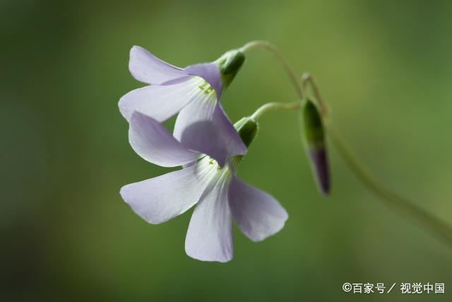 不与朋友争面子，凡事看淡，不必活得过于计较