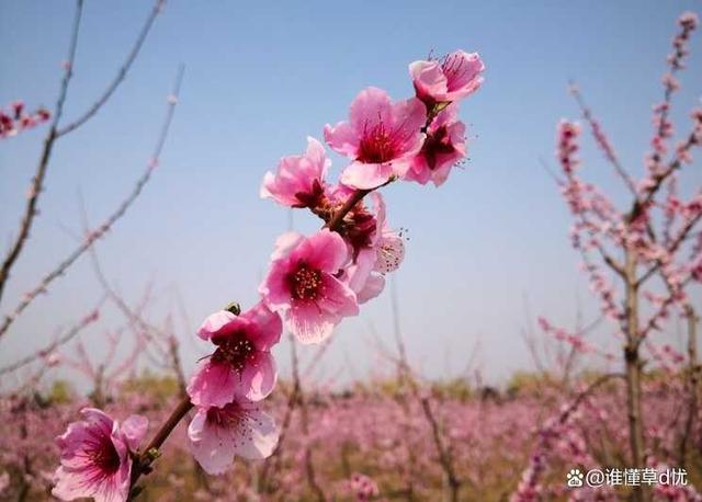 爱你到迟暮之年，想你永不知疲惫