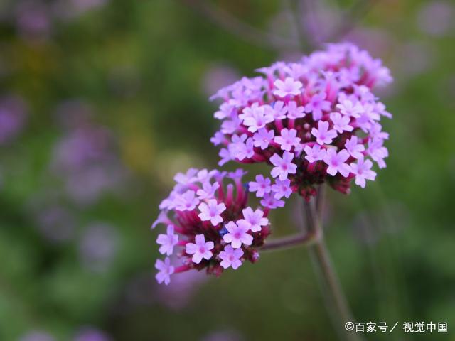 不与朋友争面子，凡事看淡，不必活得过于计较