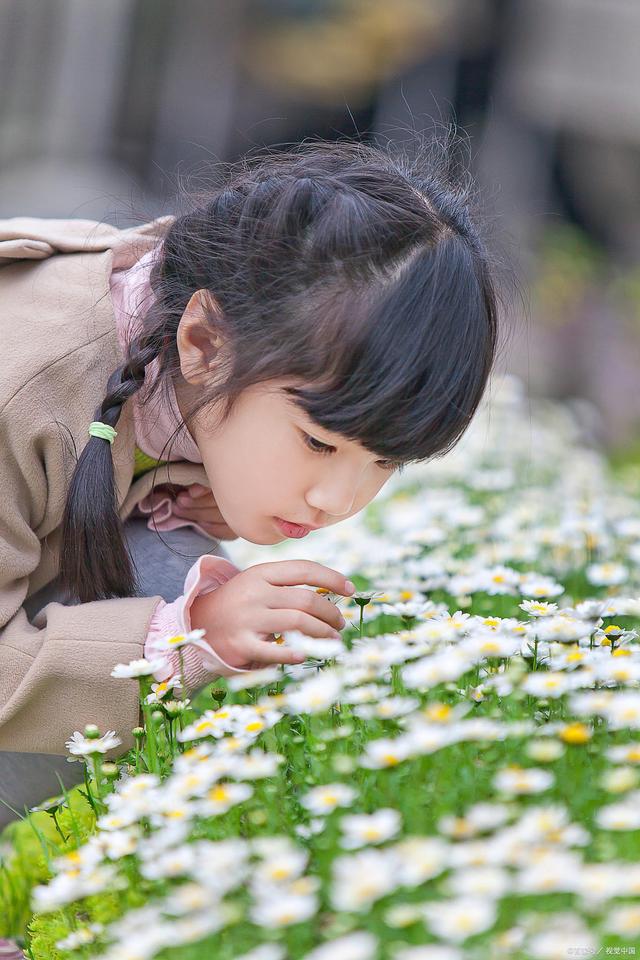 春天，大概是最令人难以按捺内心悸动的季节