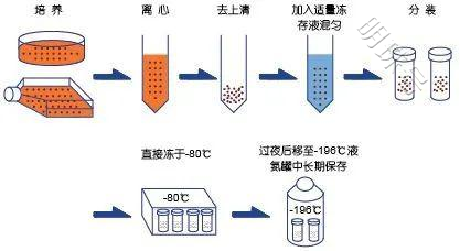 程序降温仪降温原理和应用范围