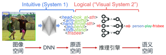 AI再突破：小鼠也分等级，它的身份竟刻在大脑里