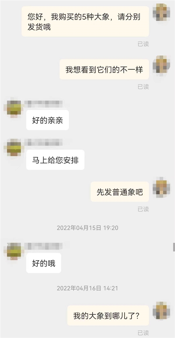 买大象是怎样的体验？