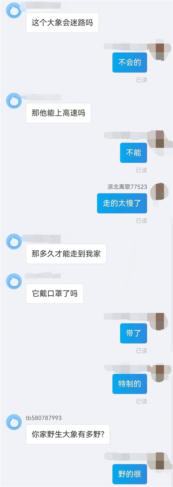 买大象是怎样的体验？