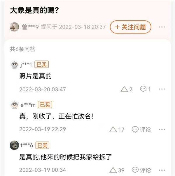 买大象是怎样的体验？