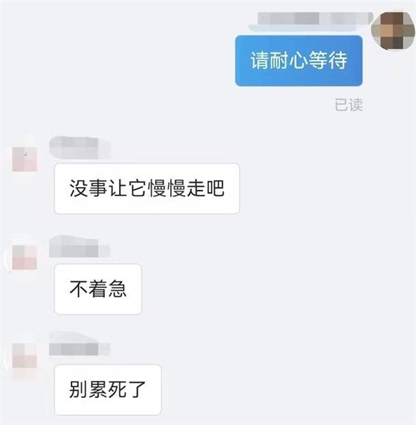 买大象是怎样的体验？