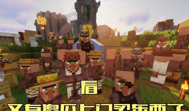 |《我的世界》中哪些村民比较有用？