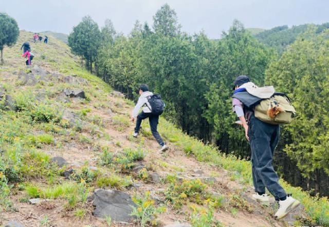 姚晨一家三口爬山，8岁土豆从队伍末尾逆袭第一，让妈妈刮目相看