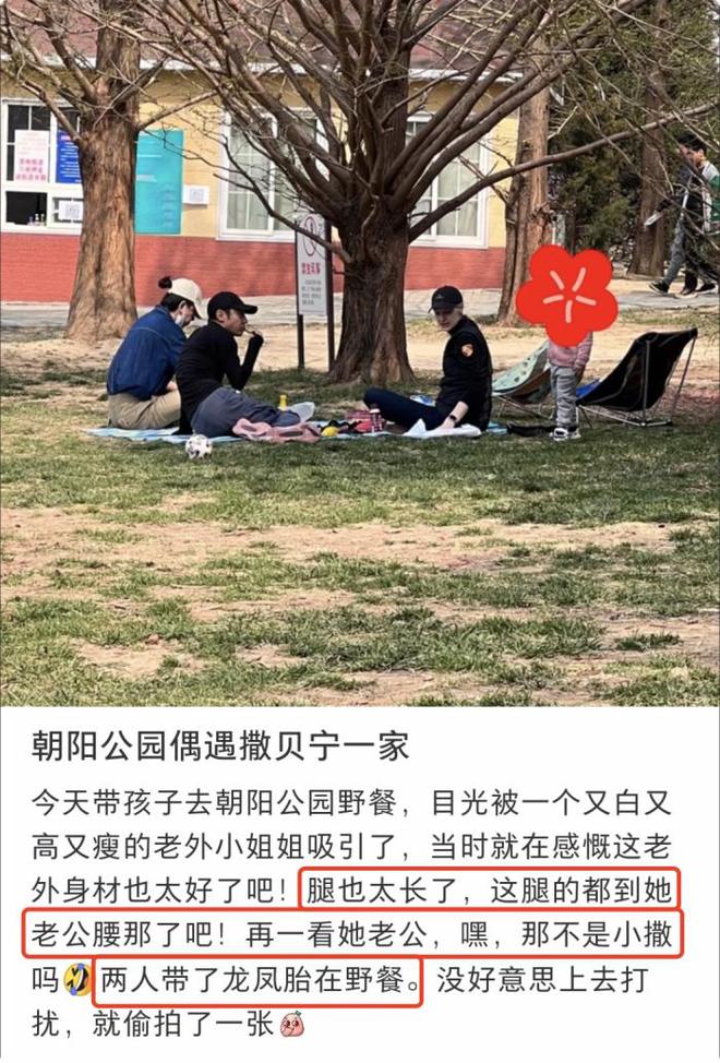 章子怡带儿女出游，与醒宝坐海盗船，弟弟神似姐姐，两位保姆同行