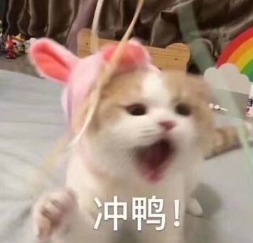|《永劫无间》女英雄吐露心声，迦南宣言“为自己容”