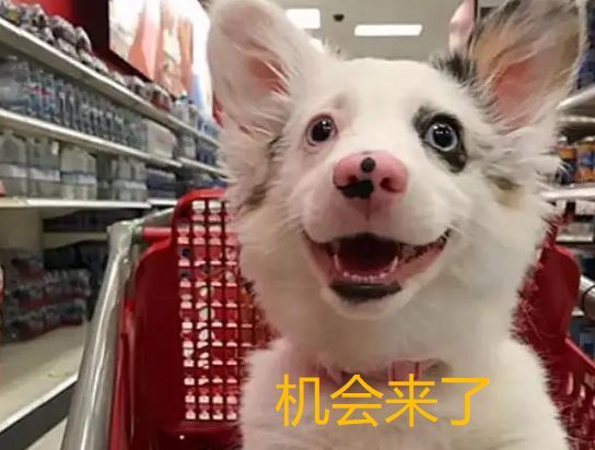 |永劫赛场上的奇观：选手组团玩人工降火，单挑王屡被丝血反杀…