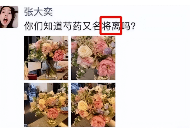 蒋凡和张大奕的婚姻，董花花的错在哪里？
