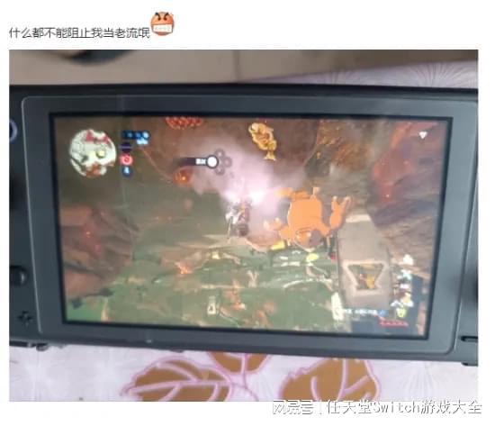 |任天堂变成了任坚强！一台switchlite惨遭连带被烧