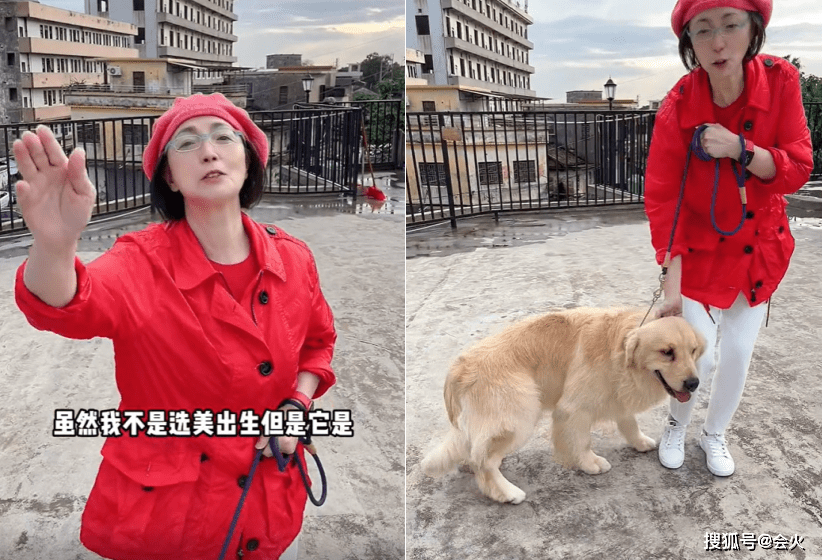 “石榴姐”苑琼丹带狗狗天台玩耍，一人一狗玩得非常开心