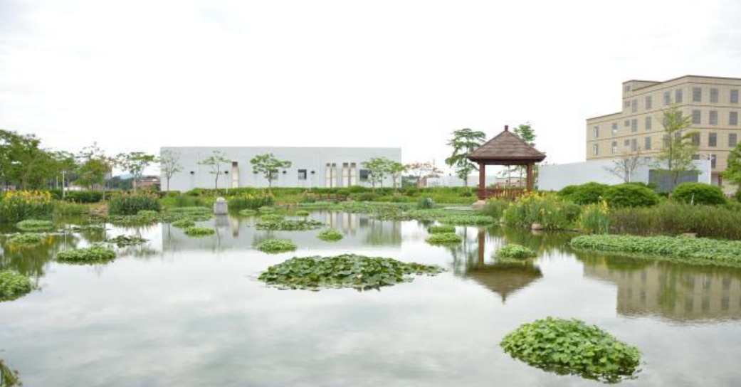 南宁沙江河“升级”成为滨水生态景观