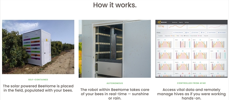 新型AI机器人蜂箱：蜜蜂死亡率降低80%
