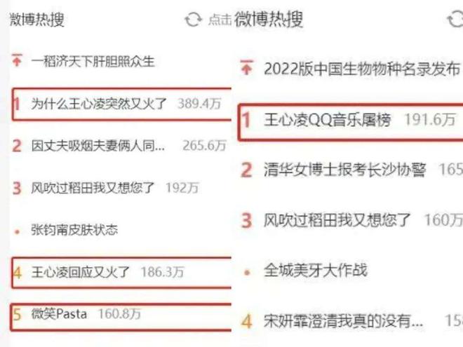 王心凌为什么那么火？