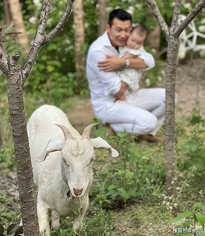 朱珠晒与家人游玩图片，一家人游玩地方环境非常美丽