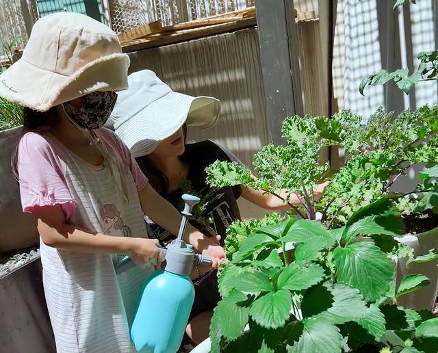 章子怡晒与孩子们种植蔬菜照片，尽显慈母范