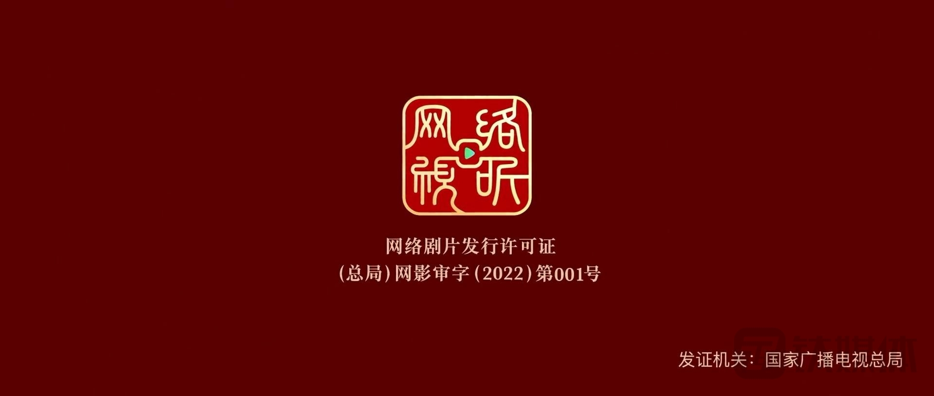 “网标”落地，网络剧片纳入正规军