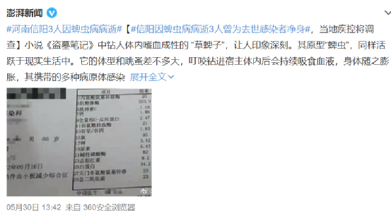 刘畊宏边直播边打的白蚁 竟是蟑螂近亲：油炸后味道绝了