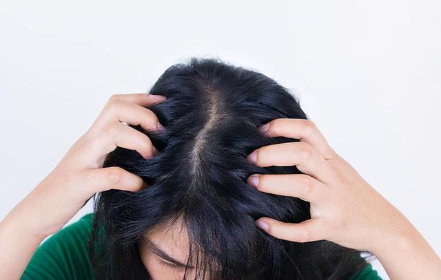 为什么头发总爱出油可能是这些因素造成的