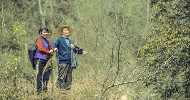 《四个春天》：这部电影的梗概实在让人难忘