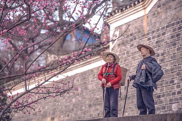 《四个春天》：这部电影的梗概实在让人难忘