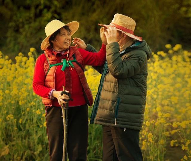 《四个春天》：这部电影的梗概实在让人难忘