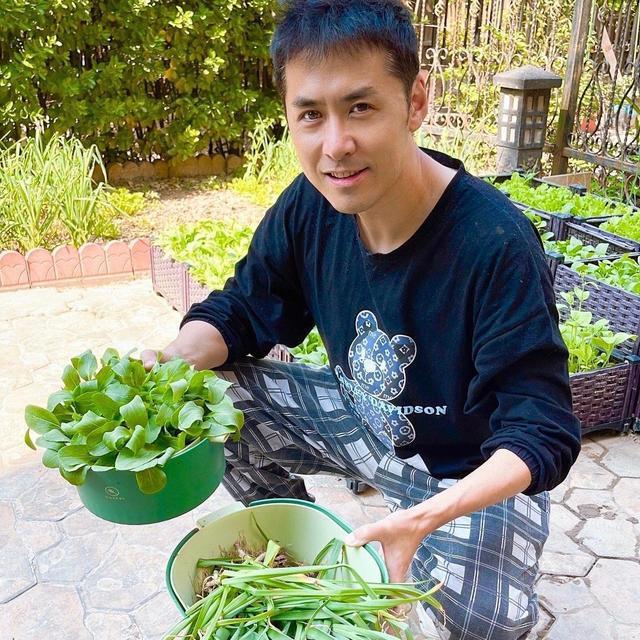 看完黄征在北京的家，我羡慕了：院里种满花果蔬菜，犹如世外桃源