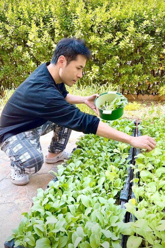 看完黄征在北京的家，我羡慕了：院里种满花果蔬菜，犹如世外桃源
