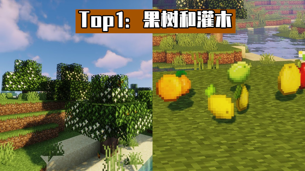 |《我的世界》mojang至今未加入春天