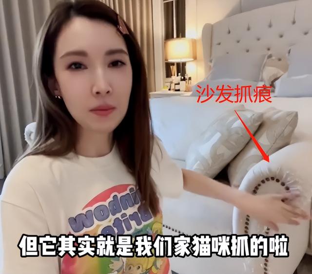 全职妈妈陈若仪晒视频遭网友质疑，网友看到沙发上的抓痕