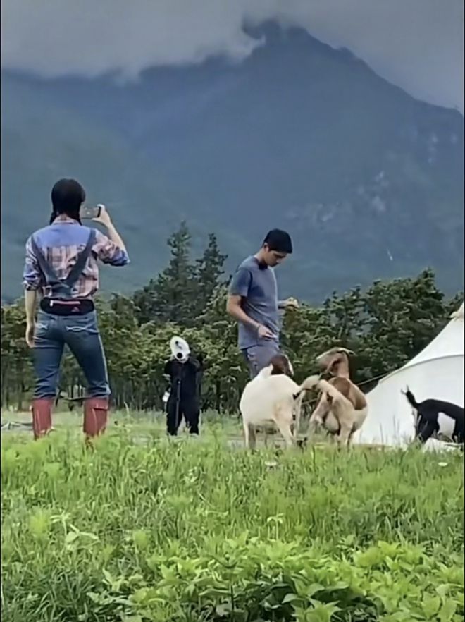 王子文携男友吴永恩参加综艺节目，两人正在和朋友约饭