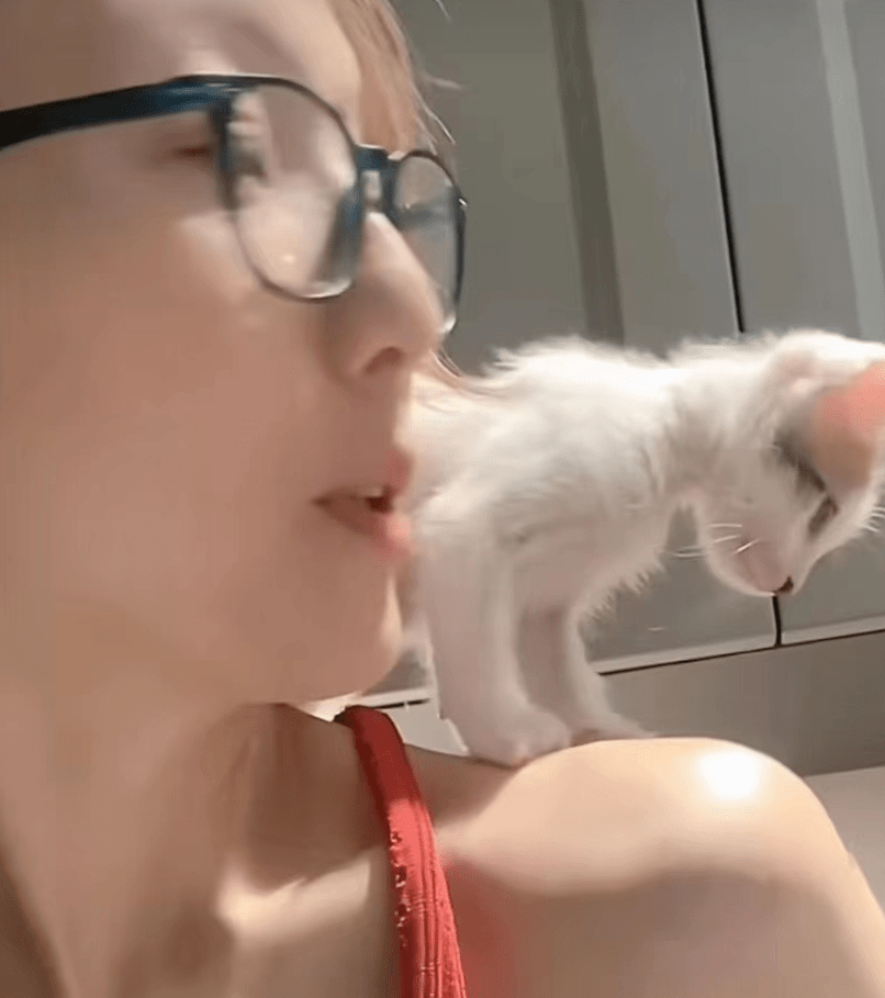 郑秀文逗猫视频与粉丝分享生活乐趣，网友担心她太瘦了