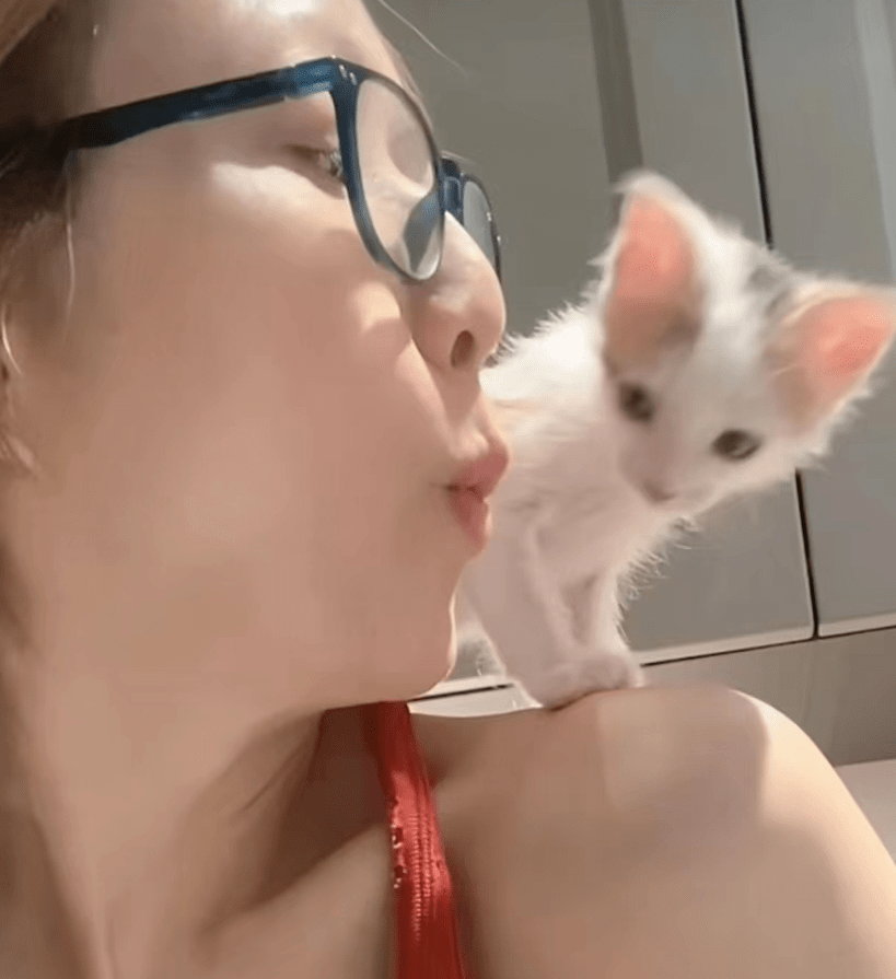 郑秀文逗猫视频与粉丝分享生活乐趣，网友担心她太瘦了