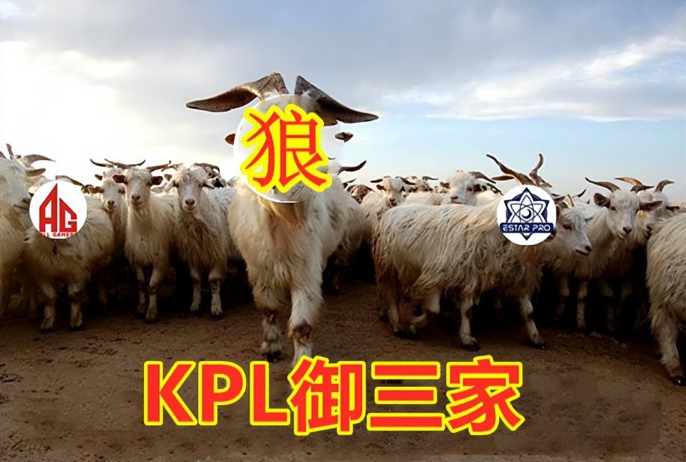 |王者荣耀kpl御三家守恒定律再现，成都ag超玩会回归