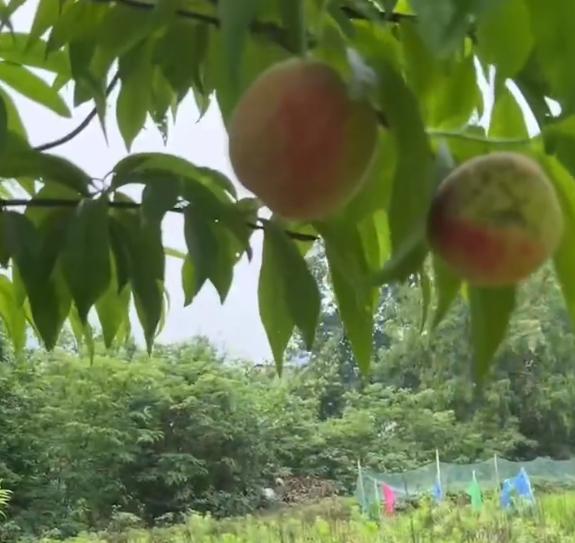 孙海洋回首30年才发现，原来已经物是人非